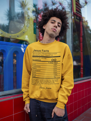 Black Jesus Facts Sweatshirt